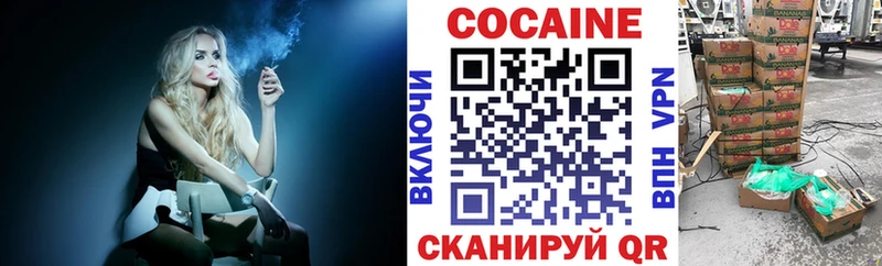 купить закладку  Торжок  COCAIN VHQ 