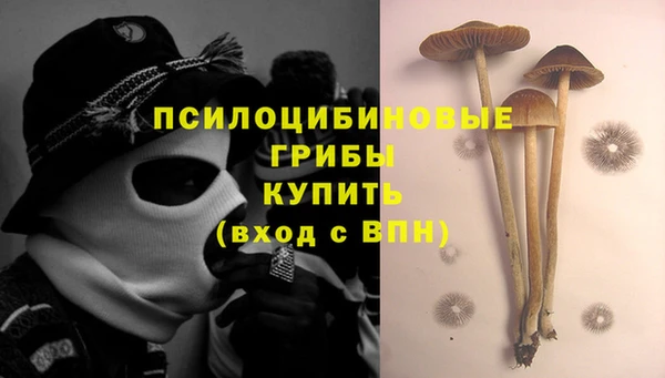гидропоника Абаза