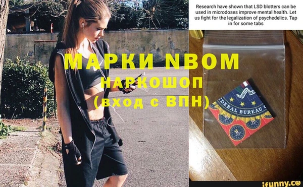 стаф Абинск