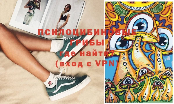 стаф Абинск