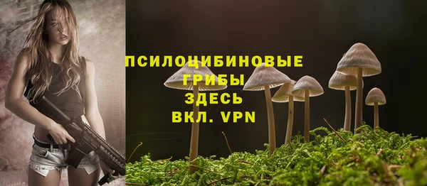 гидропоника Абаза