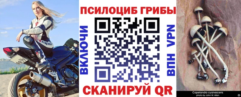 продажа наркотиков  мега маркетплейс  Галлюциногенные грибы ЛСД  Торжок 
